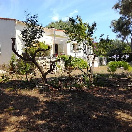Bonifacio, Maison 90M² Sous Les Oliviers, Vue Sardaigne Bonifacio (Corsica) Exterior foto