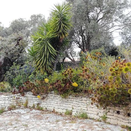 Bonifacio, Maison 90M² Sous Les Oliviers, Vue Sardaigne Bonifacio (Corsica) Exterior foto