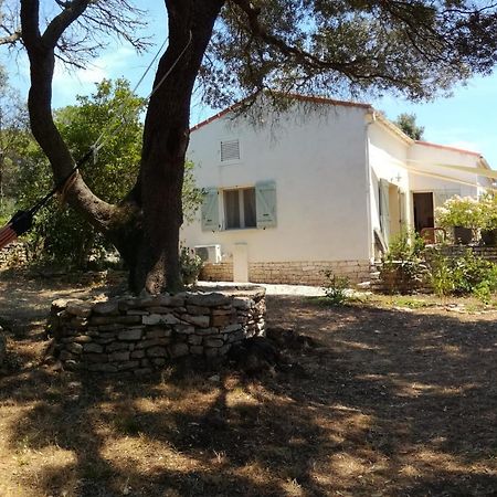 Bonifacio, Maison 90M² Sous Les Oliviers, Vue Sardaigne Bonifacio (Corsica) Exterior foto