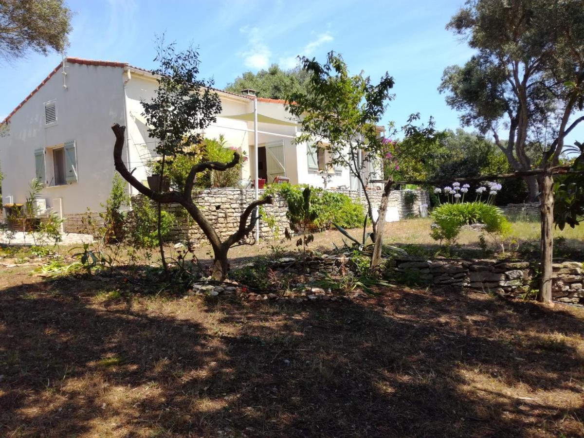 Bonifacio, Maison 90M² Sous Les Oliviers, Vue Sardaigne Bonifacio (Corsica) Exterior foto