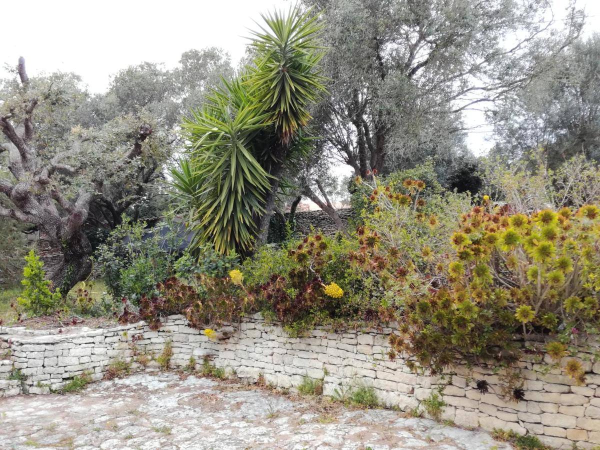 Bonifacio, Maison 90M² Sous Les Oliviers, Vue Sardaigne Bonifacio (Corsica) Exterior foto