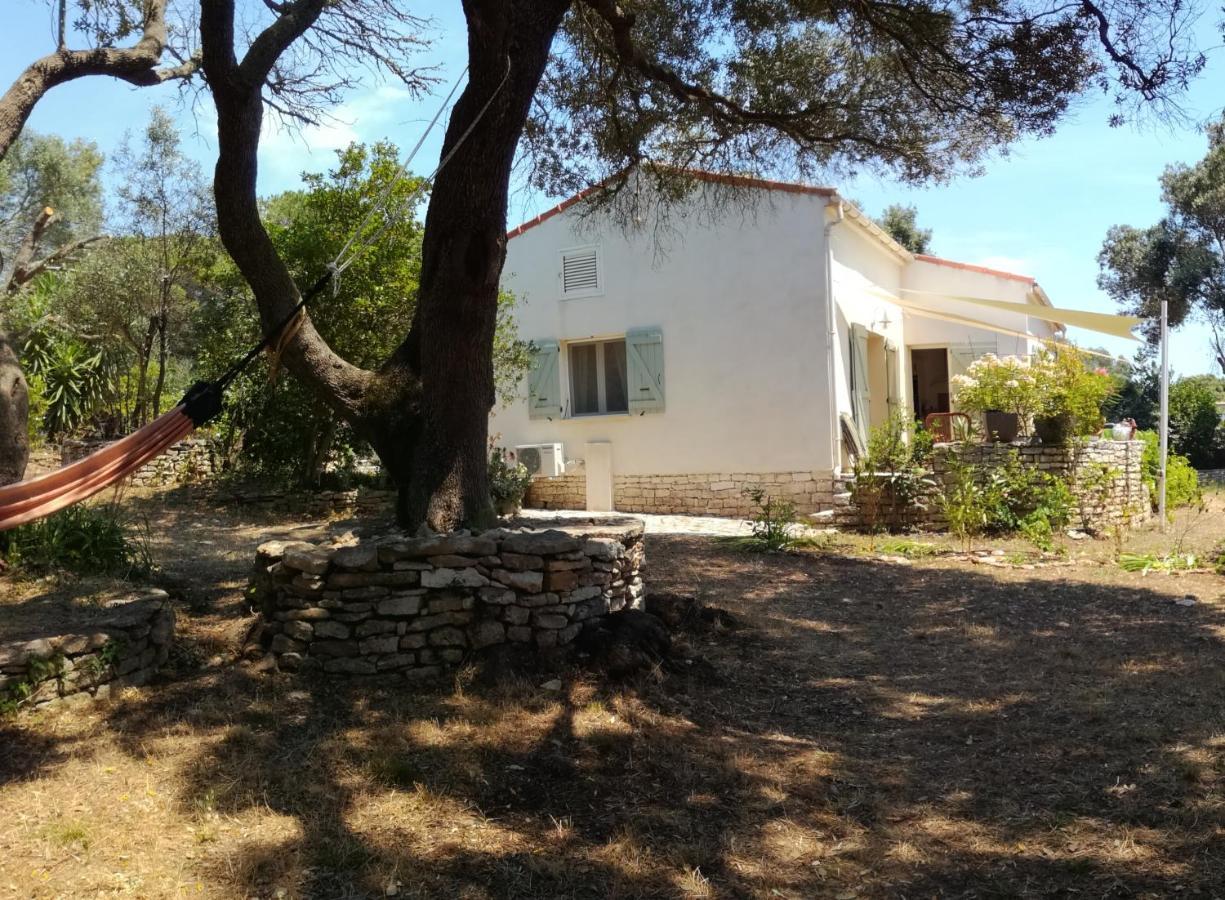 Bonifacio, Maison 90M² Sous Les Oliviers, Vue Sardaigne Bonifacio (Corsica) Exterior foto
