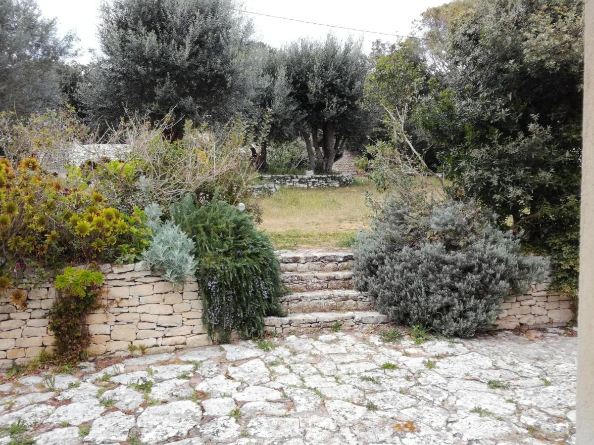 Bonifacio, Maison 90M² Sous Les Oliviers, Vue Sardaigne Bonifacio (Corsica) Exterior foto